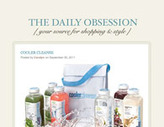 TheDailyObsession.com