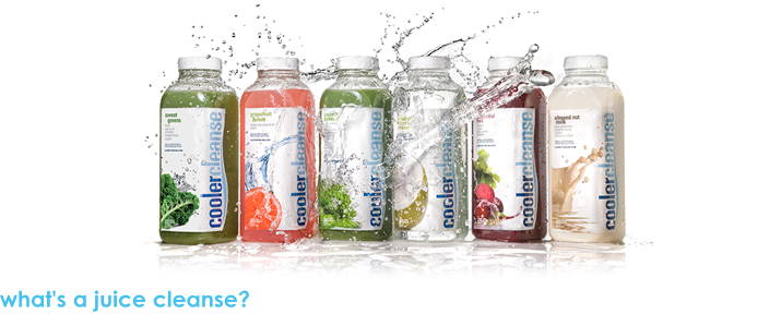Whycleanse_whatsacleanse2_sml-1
