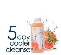 Cleanse_5day_main