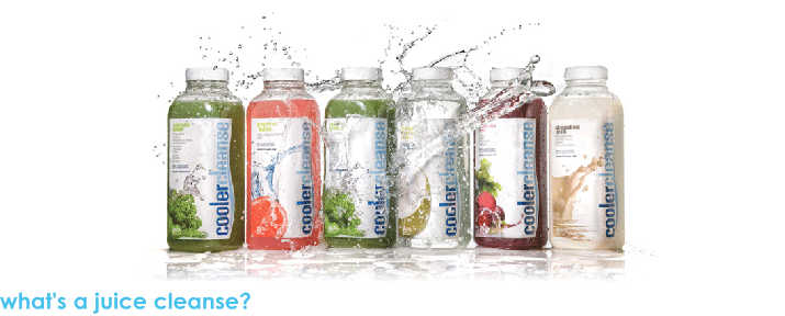 Whycleanse_whatsacleanse2_sml-1