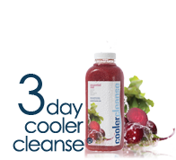 Cleanse_3day_main