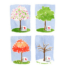 Seasonal-image_listing_listing