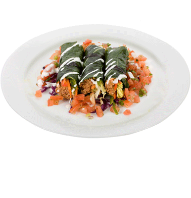 Entree_collwrapenchiladas_zoom